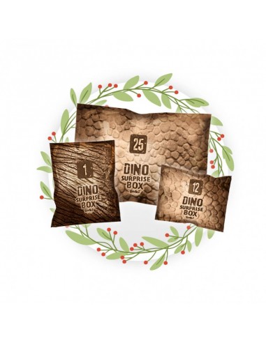 Tyrinėjimo rinkinys BUKI dinozauro...