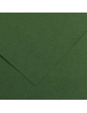 Spalvotas popierius CANSON Vivaldi 31 500 x 650 mm 240 gsm eglės žalia