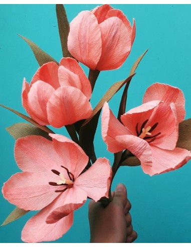 Krepinis popierius Cartotecnica Rossi...