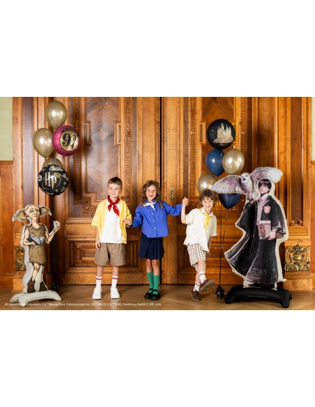 Balionas PARTY DECO Harry Potter Hogwarts Castle35 cm folinis