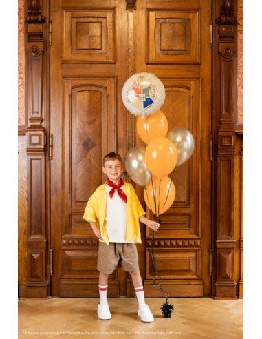 Balionas PARTY DECO Harry Potter...