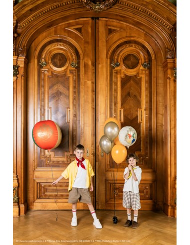 Balionas PARTY DECO Harry Potter...