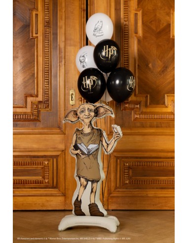 Balionas PARTY DECO Harry Potter...