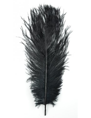 Dekoratyvinės plunksnos juodos spalvos - 1