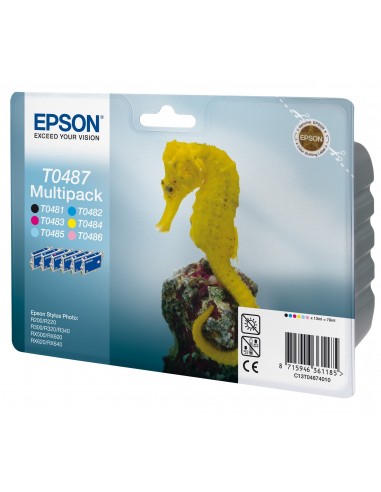 Rašalinė spausdintuvo kasetė Epson T0487 rinkinys T0481/T0482/T0483/T0484/T0485/T0486 - 1