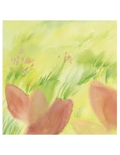 Popierius RAYHER Scrapbooking Big Tulips dekoratyvinis 30.5 x 30.5 cm 190 g. 1 vnt. - 1