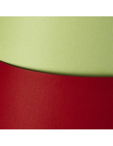 Dekoratyvinis popierius Galeria Papieru Standard Holland Green A4 220 gsm žalias - 1