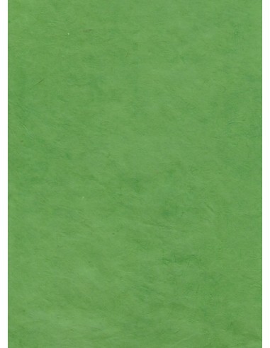 Dekoratyvinis popierius NEPALIETIŠKAS 30 Forest green A4 rankų darbo - 1