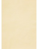 Kalkinis popierius CURIOUS Translucents Ivory permatomas A4 100 gsm