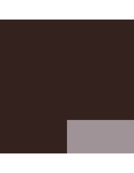 Akriliniai dažai LEFRANC BOURGEOIS Fine 111 Vandyke Brown 200 ml.