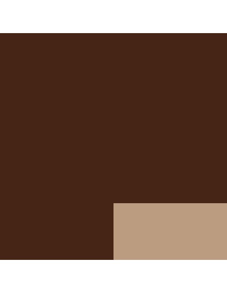 Akriliniai dažai LEFRANC BOURGEOIS Fine 477 Burnt Umber 200 ml.