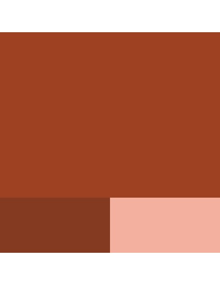 Akriliniai dažai LEFRANC BOURGEOIS Fine 306 Red Ochre 200 ml.