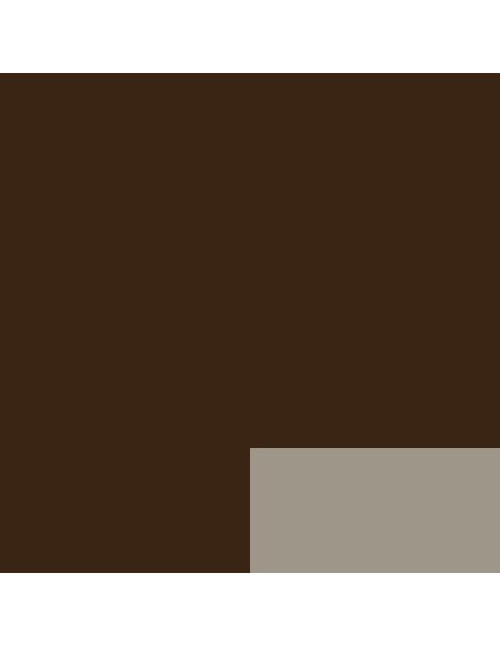 Akriliniai dažai LEFRANC BOURGEOIS Fine 478 Raw Umber 200 ml.