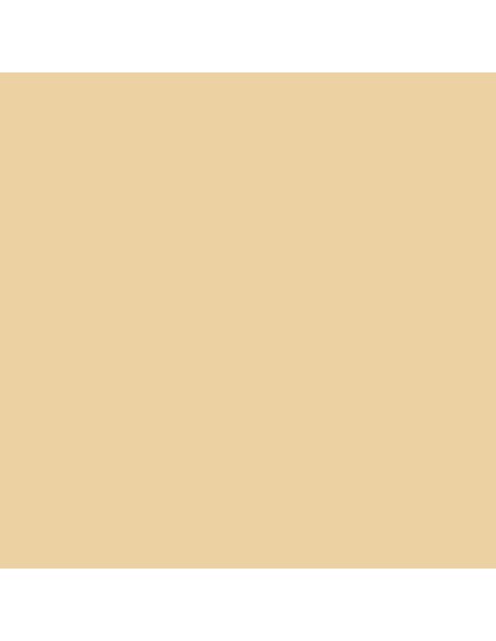 Akriliniai dažai LEFRANC BOURGEOIS Fine 887 Naples Yellow Light 200 ml.