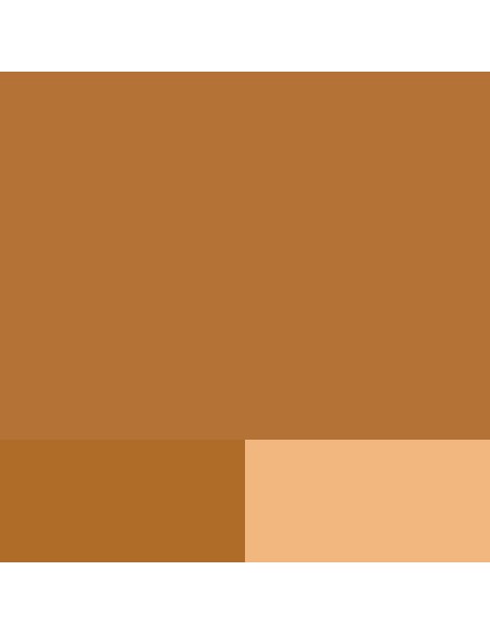 Akriliniai dažai LEFRANC BOURGEOIS Fine 482 Raw Sienna 200 ml.