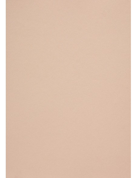 Dekoratyvinis popierius CURIOUS Metallics Nude 70 x 100 cm 300 gsm