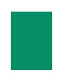 Spalvotas popierius CARIBIC Nr. 87 650 x 920 mm 250 gsm žalias