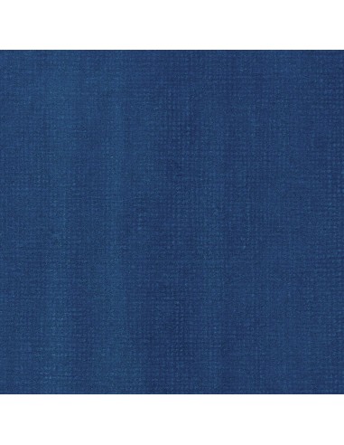 Akrilinis tušas LIQUITEX 320 Prussian...