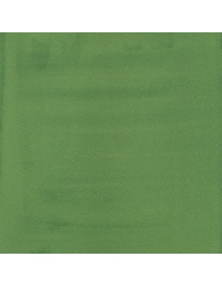 Akrilinis tušas LIQUITEX 224 Hookers's Green Hie Permanent 30 ml.