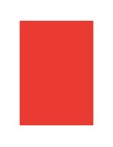 Spalvotas popierius CARIBIC Nr. 64 650 x 920 mm 250 gsm raudonas