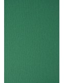 Dekoratyvinis popierius NETTUNO Verde Foresta A4 215 gsm