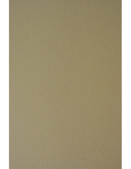 Dekoratyvinis popierius NETTUNO Grigio  72 x 101 cm 215 gsm