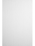 Dekoratyvinis popierius NETTUNO Bianco Artico 72 x 101 cm 215 gsm