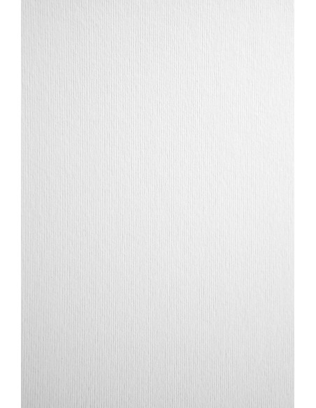 Dekoratyvinis popierius NETTUNO Bianco Artico 72 x 101 cm 215 gsm
