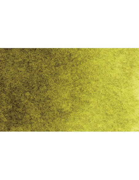 Akvareliniai dažai PHOENIX Artist Fine 1/2 Pan 569 Olive Green