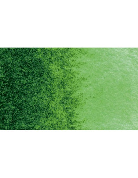 Akvareliniai dažai PHOENIX Artist Fine 1/2 Pan 510 Hookers Green Light