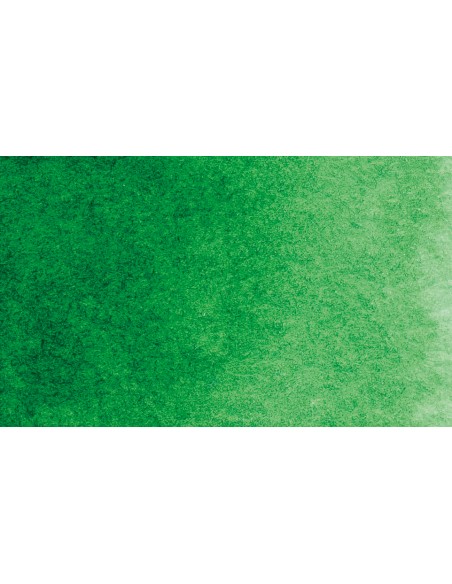 Akvareliniai dažai PHOENIX Artist Fine 1/2 Pan 583 Permanent Green Light
